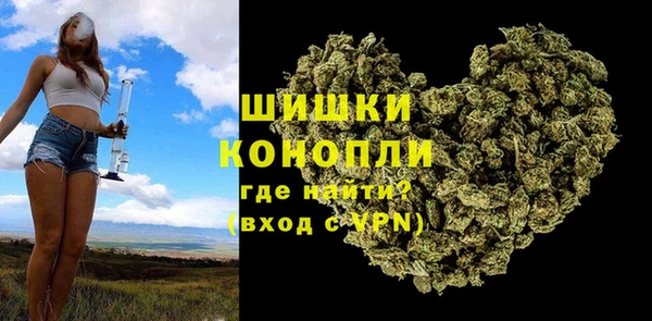 шишки Алексин