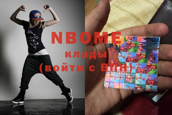 шишки Алексин