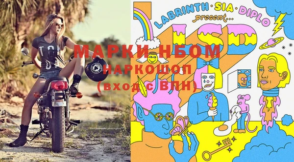 шишки Алексин