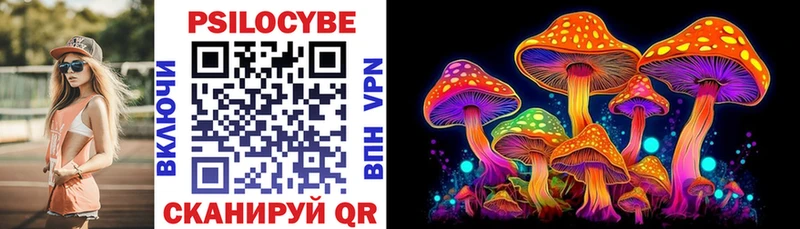 Галлюциногенные грибы Psilocybe Купить где Балтийск