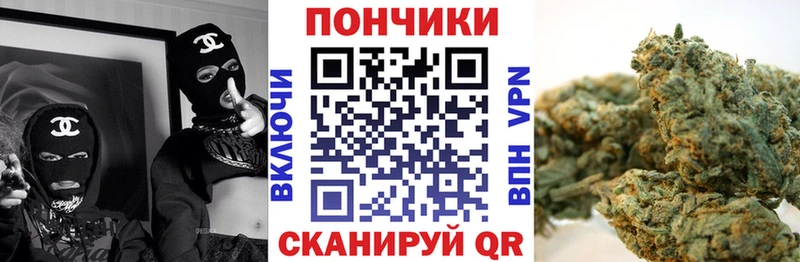 Бошки марихуана план  Купить где  Балтийск 